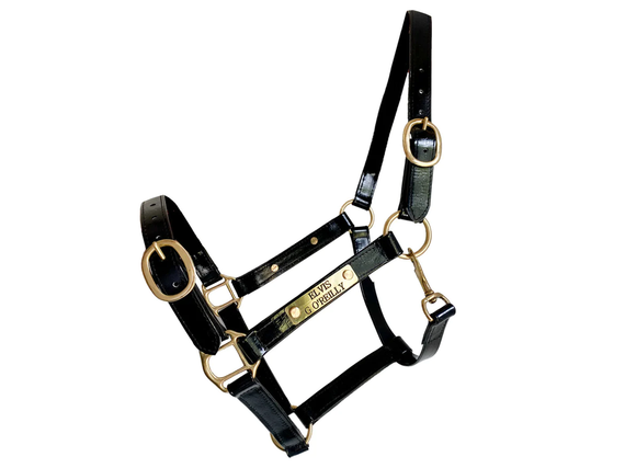 Pvc Halters PVC Halters & Nameplates – Gala Equine