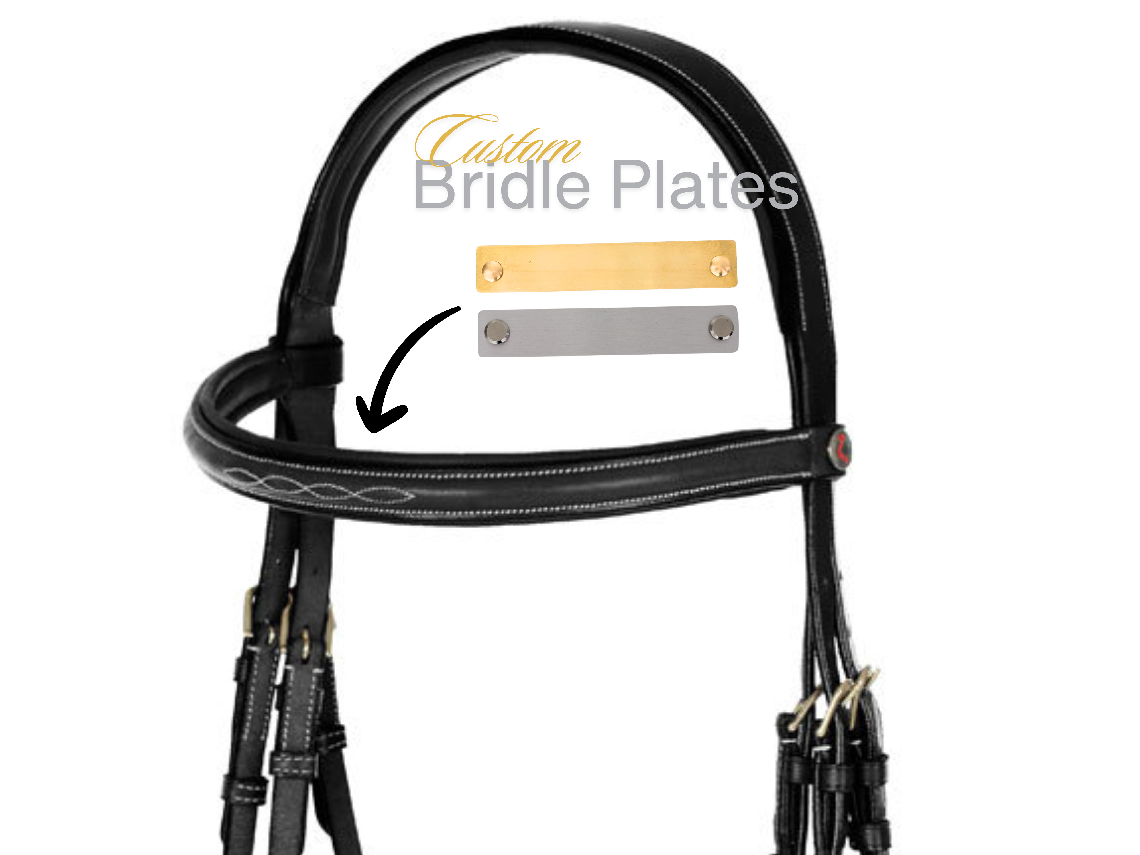 Name Plate - Bridle