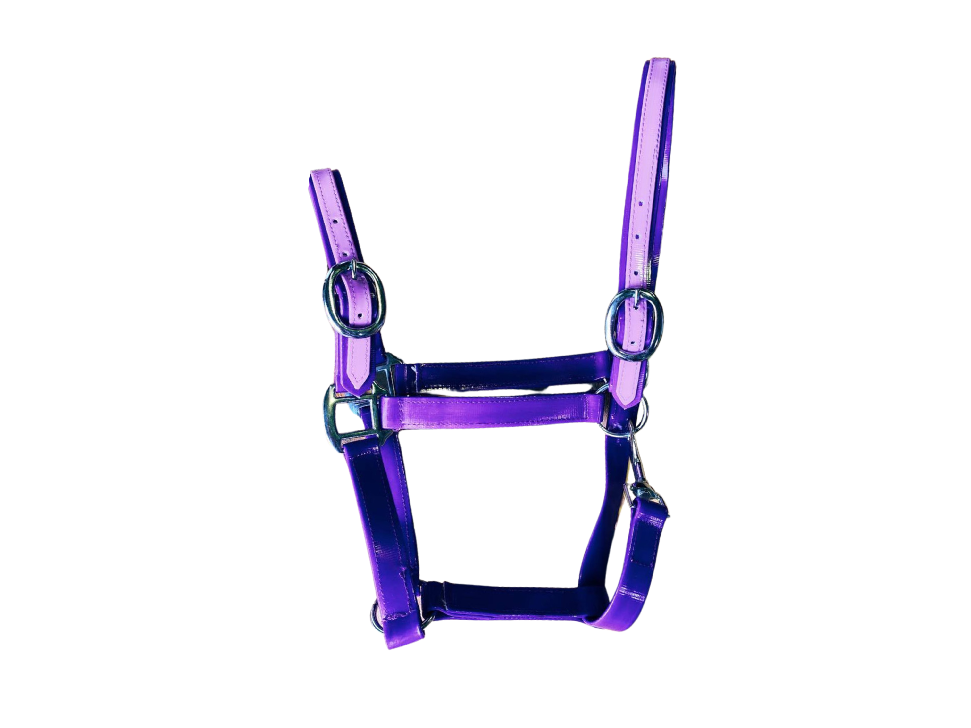 Pvc Halters PVC Halter - Purple & Lilac – Gala Equine