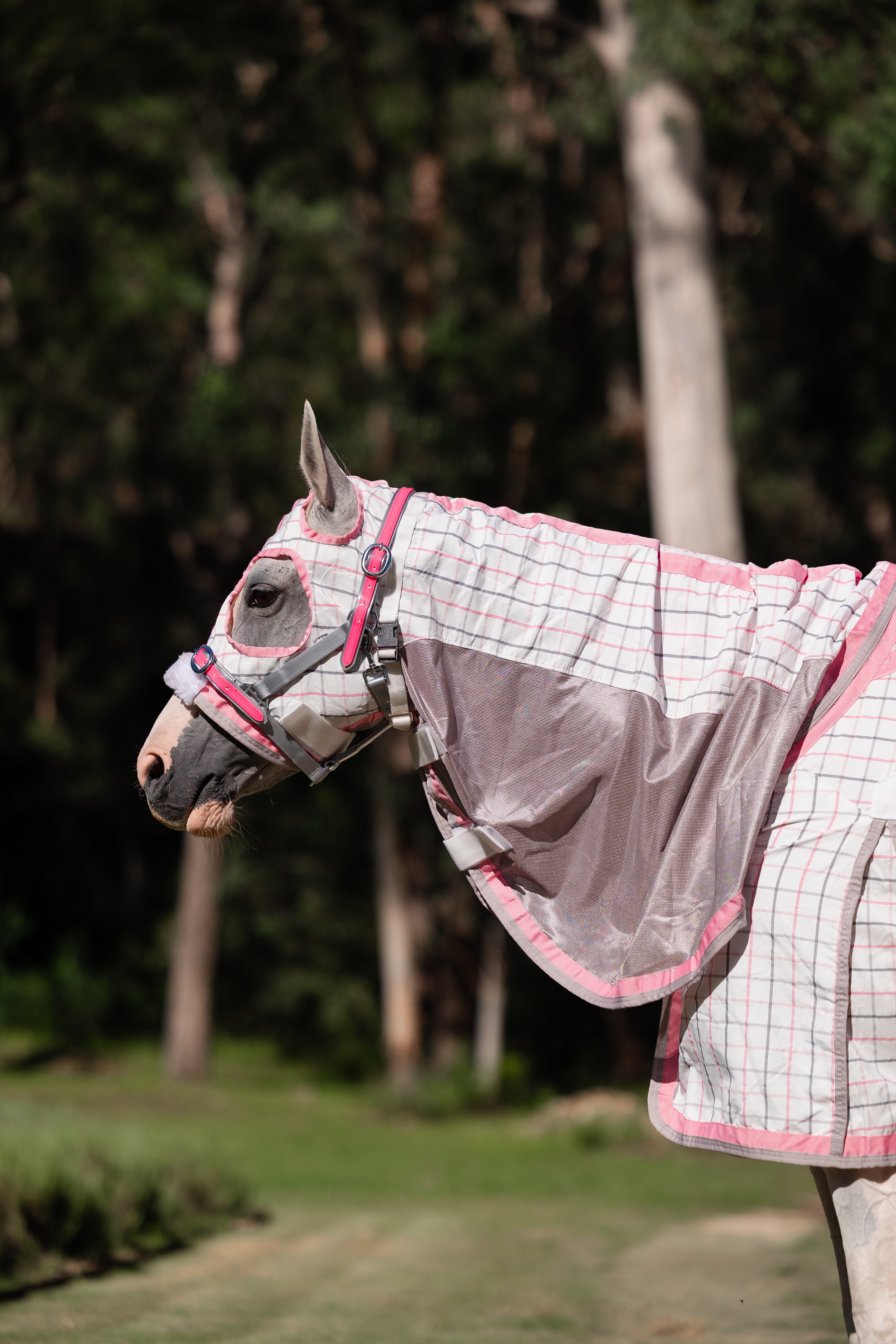 Hybrid Ripstop Hood Combo - Blush Pink & Grey