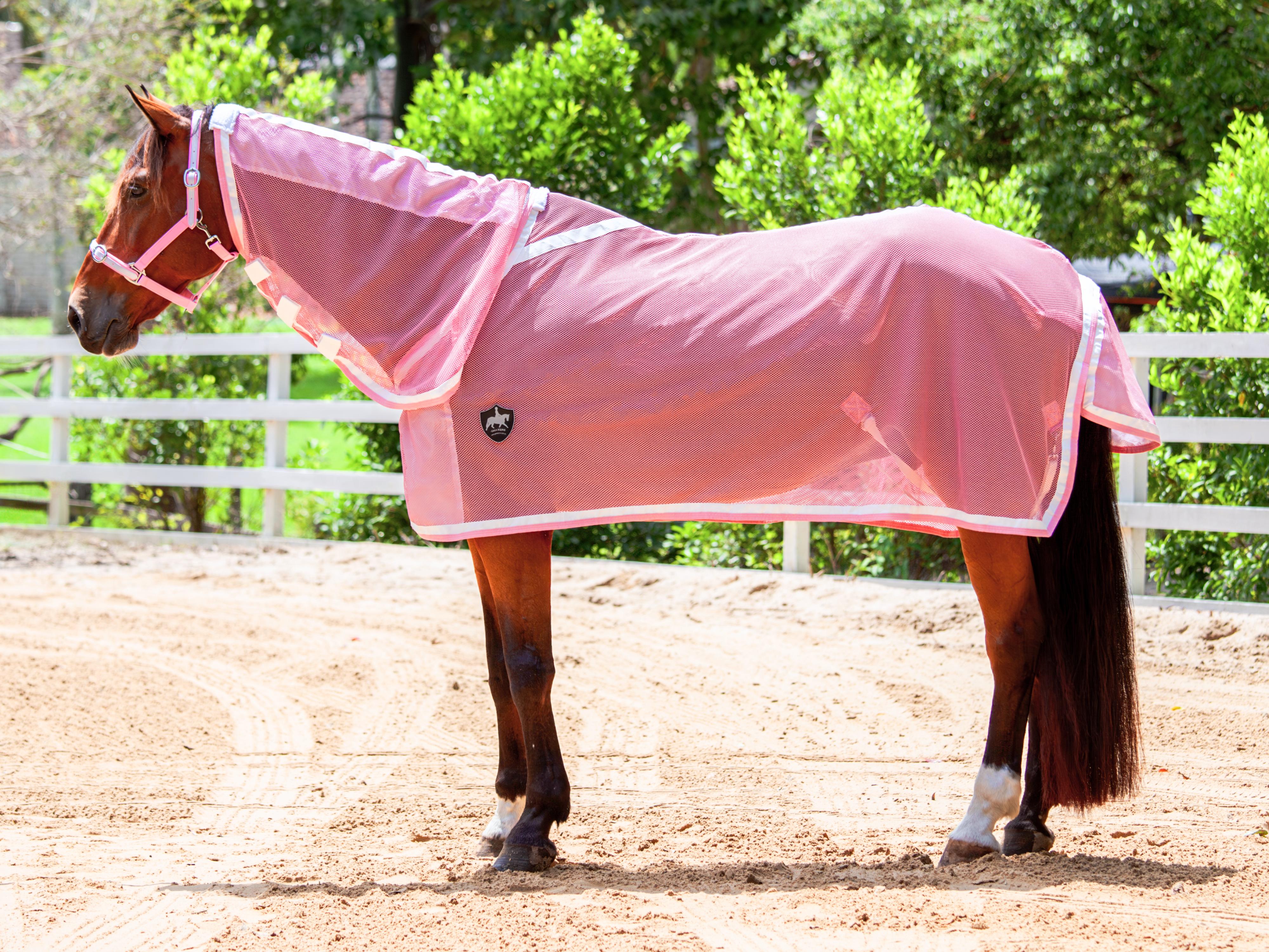 Summer Mesh Neck Combo - Blush Pink w White & Blush Pink Trims - New Summer Design