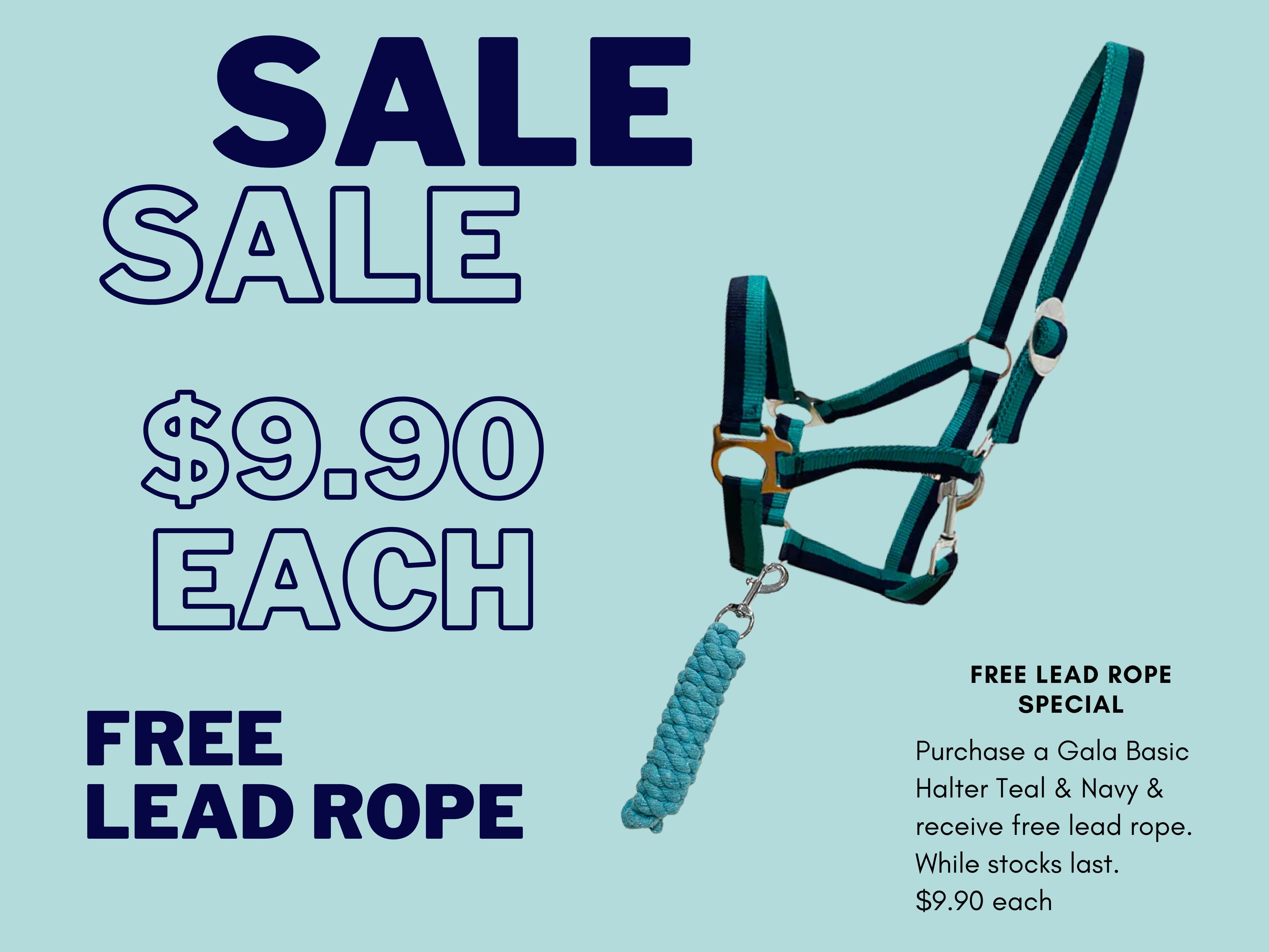 Gala Basic Halter - Navy & Teal + FREE LEAD ROPE