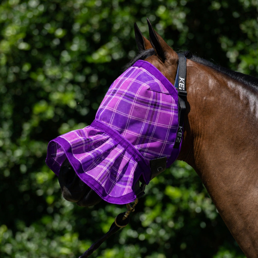 Blossom Fly Mask on a bay horse