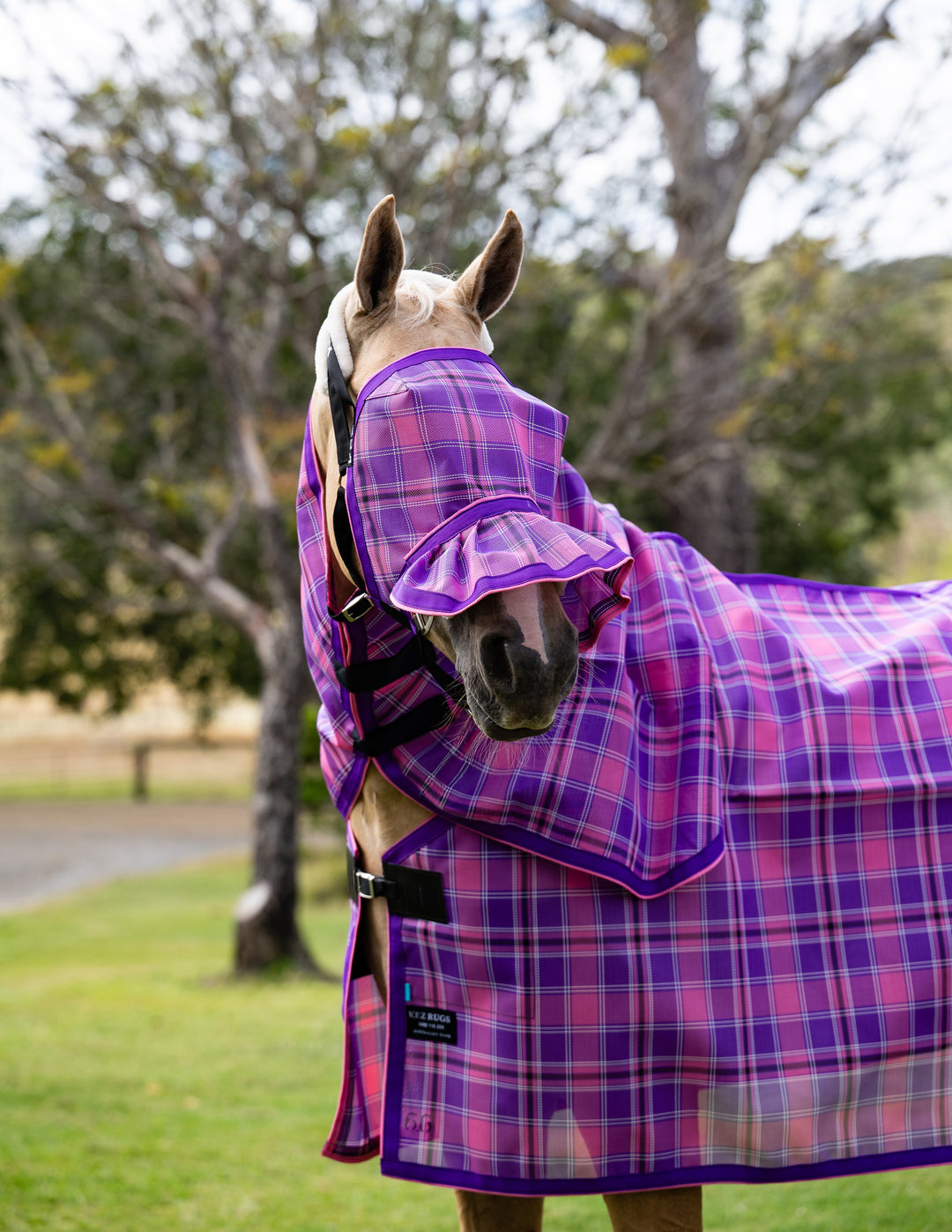 Blossom Ultra Mesh Fly Mask with pleated nose attachment and matching neck combo, front portrait