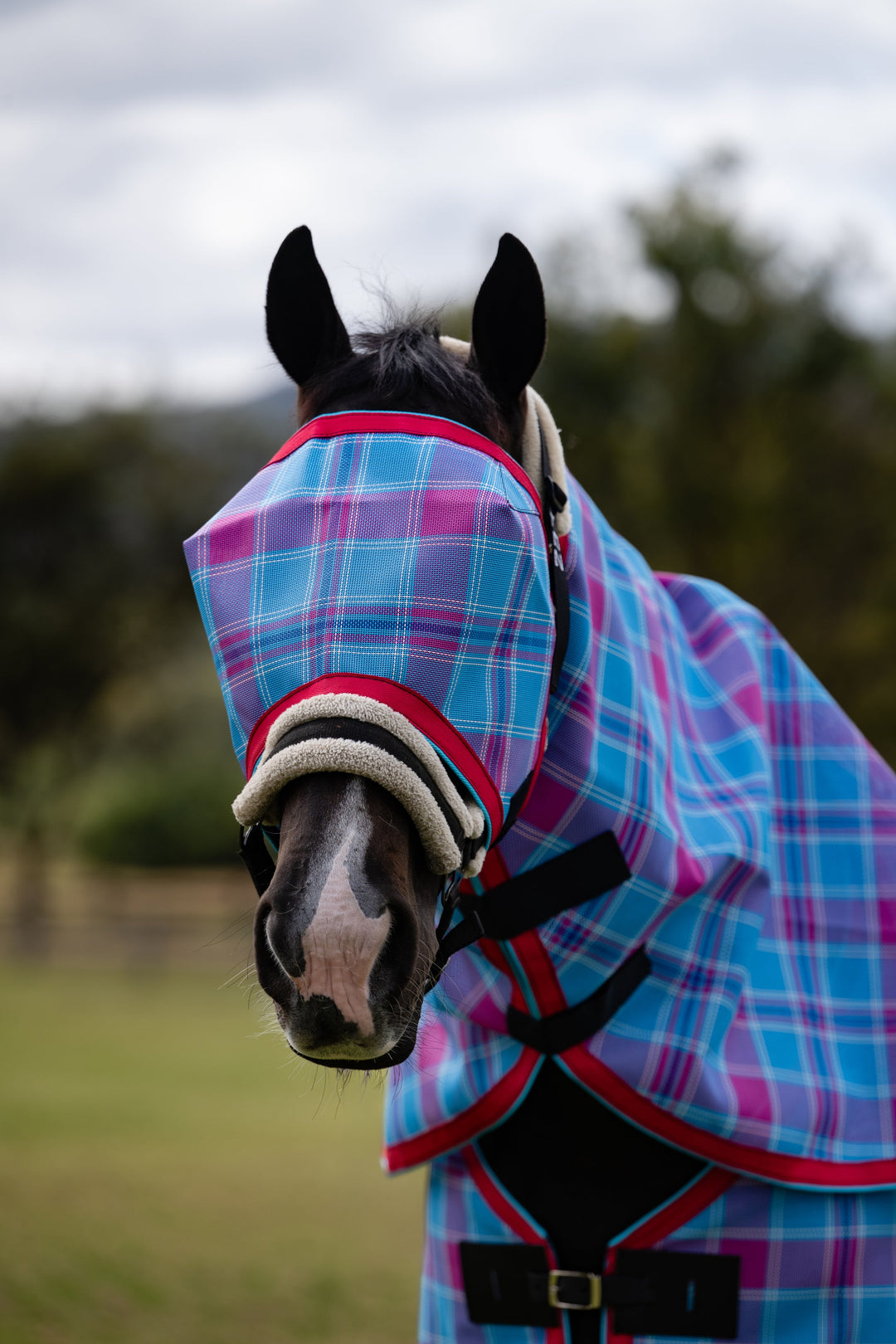 Bubble Gum Ultra Mesh Fly Mask without nose attachment, alternate front close-up