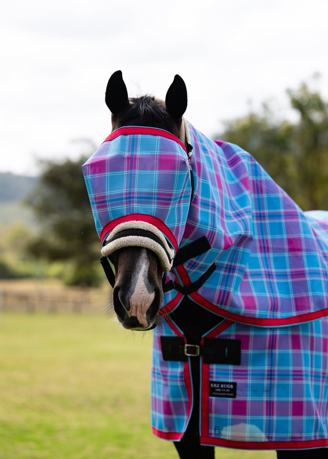 Bubble Gum Ultra Mesh Fly Mask without nose attachment and matching neck combo, alternate front portrait