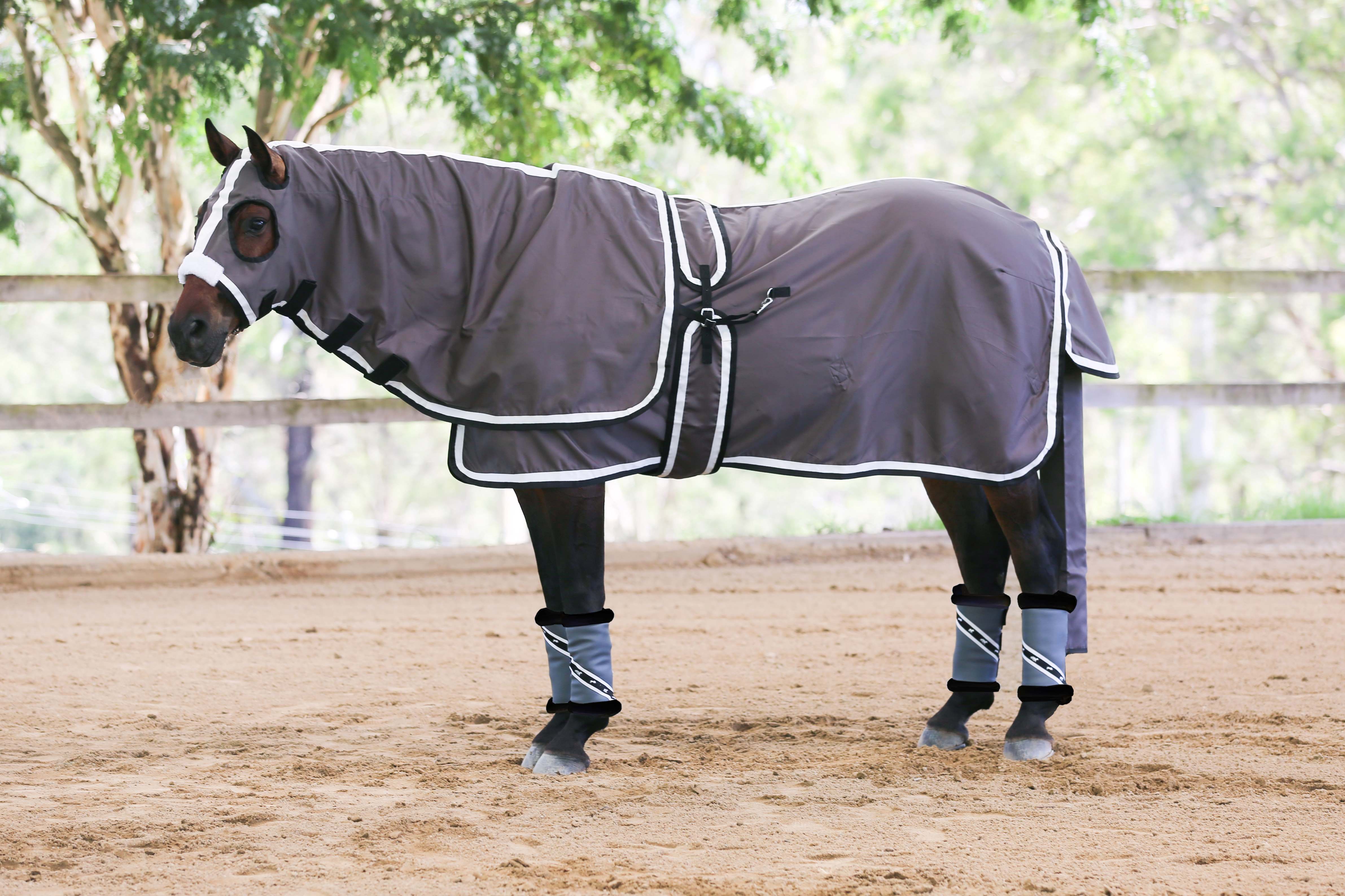 Show Sets - Horse Rugs - Gala Equine