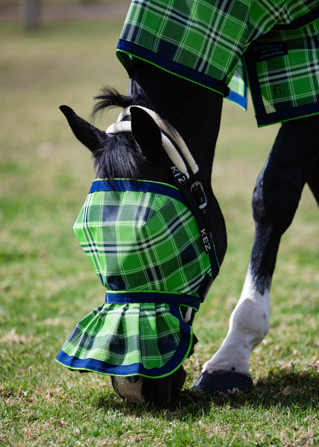 Horse grazing while wearing the Evergreen Ultra Mesh Fly Mask with pleated nose attachment