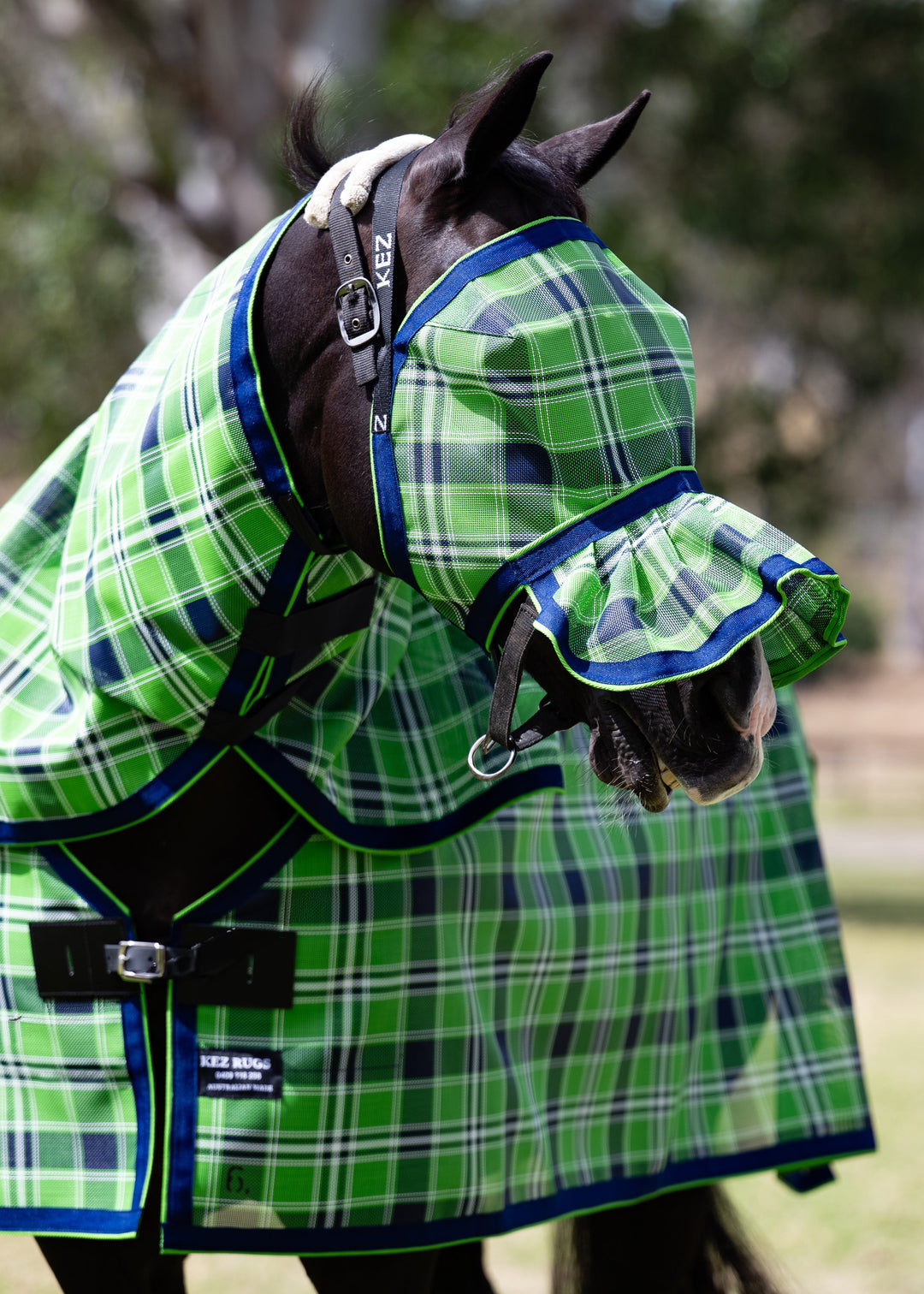 Evergreen Ultra Mesh Fly Mask with pleated nose attachment on a black horse, main view