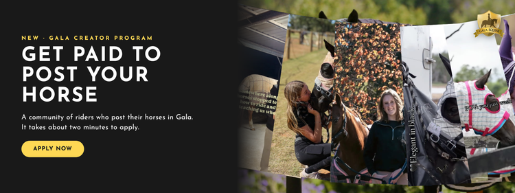 Gala Equine creator program: get paid to post your horse. Apply now.
