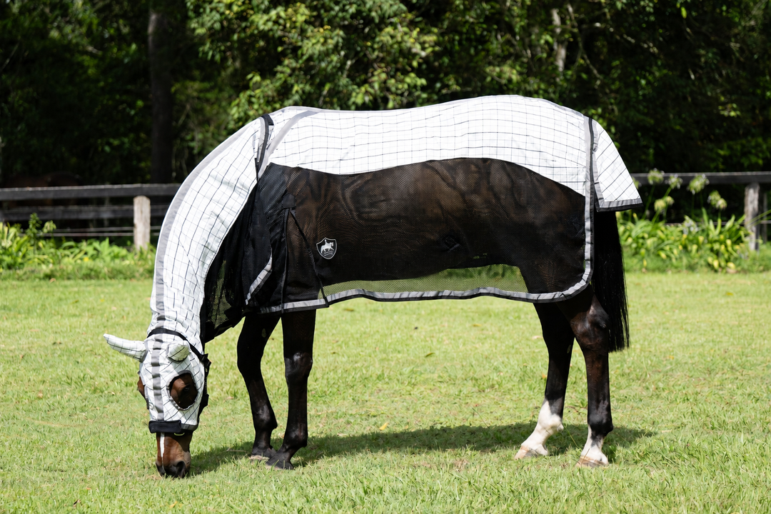 Horse wearing Gala Equine Hybrid Signature Ripstop Black and Platinum Hood Combo with summer mesh and ears