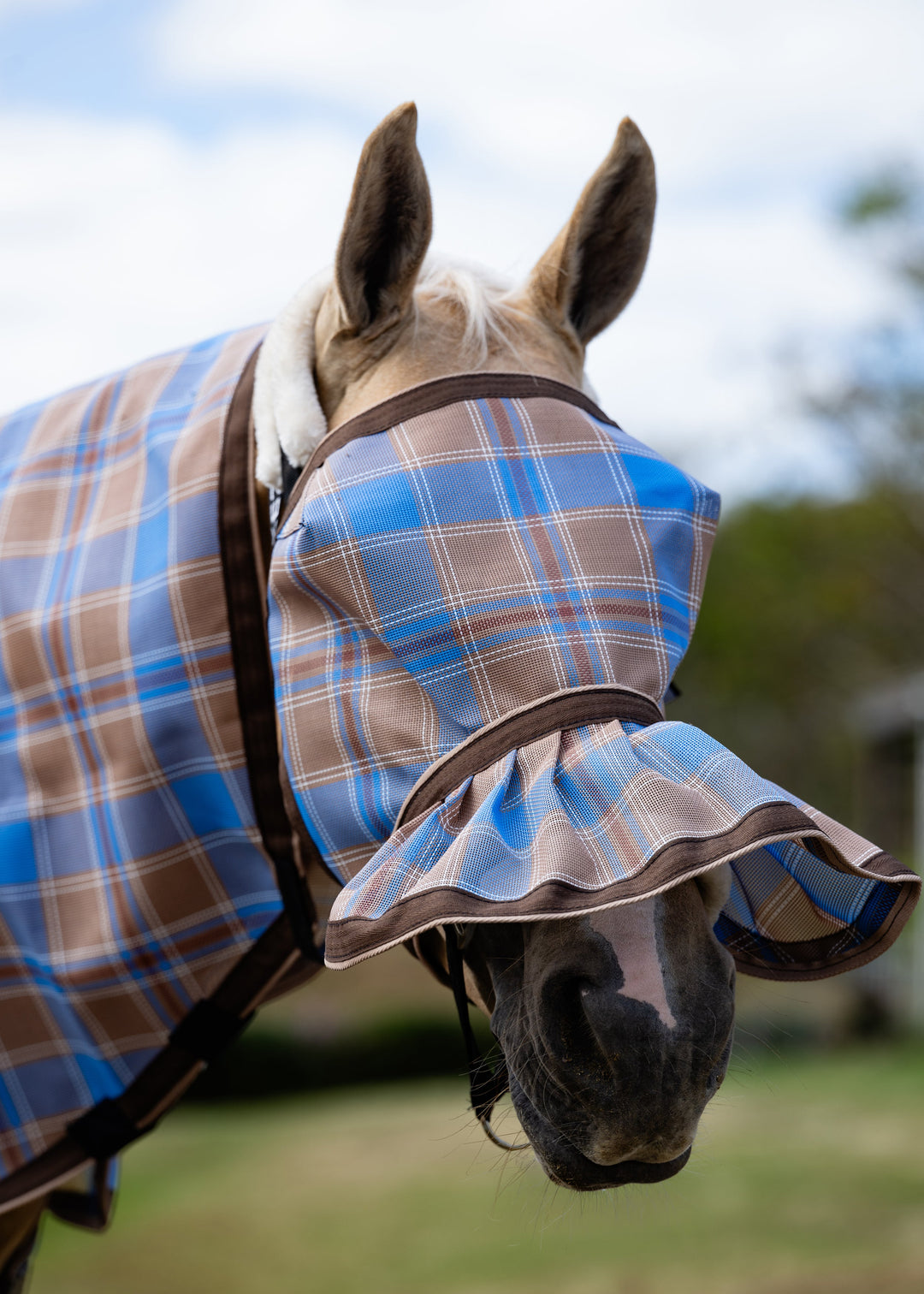Ice Coffee Ultra Mesh Fly Mask with pleated nose attachment, main front close-up