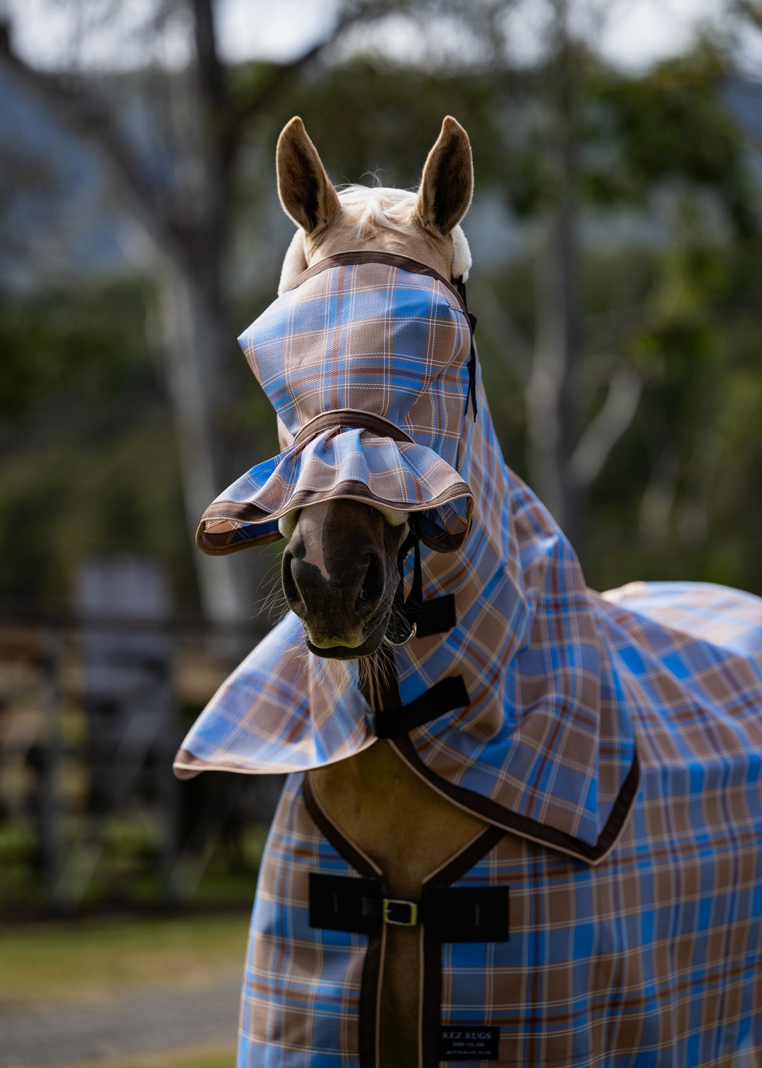 Ice Coffee Ultra Mesh Fly Mask with pleated nose attachment and matching neck combo, front portrait