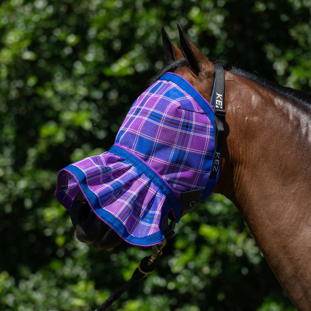 Regal Fly Mask on a bay horse