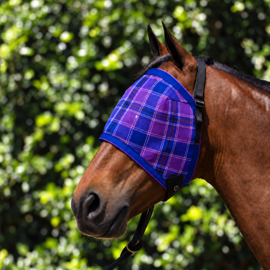 Regal Ultra Mesh Fly Mask without nose attachment, three-quarter close-up