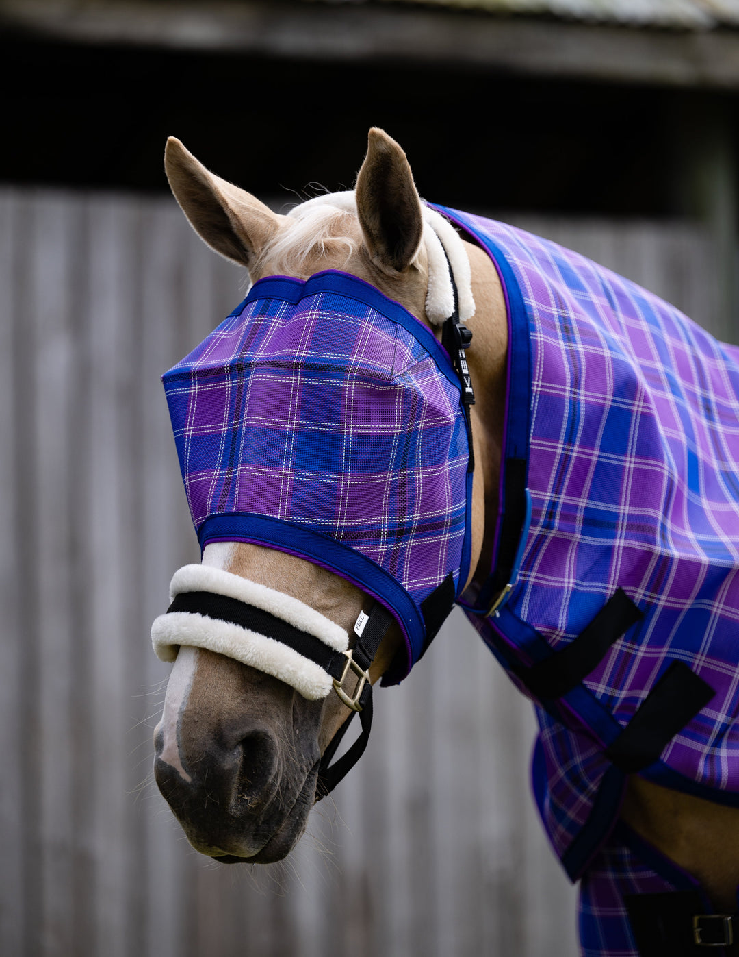 Regal Ultra Mesh Fly Mask without nose attachment, front close-up