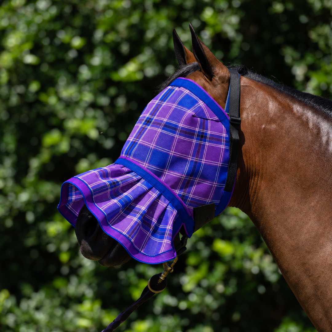Regal Ultra Mesh Fly Mask with nose attachment, three-quarter close-up