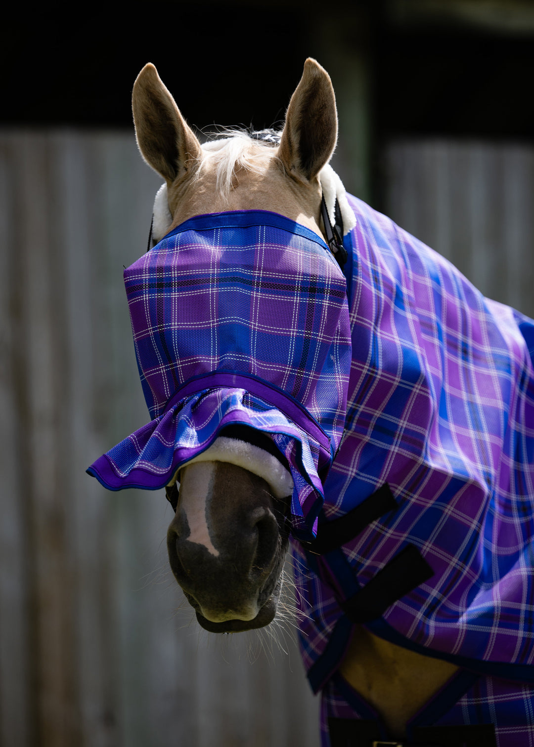 Regal Ultra Mesh Fly Mask with pleated nose attachment, alternate front close-up