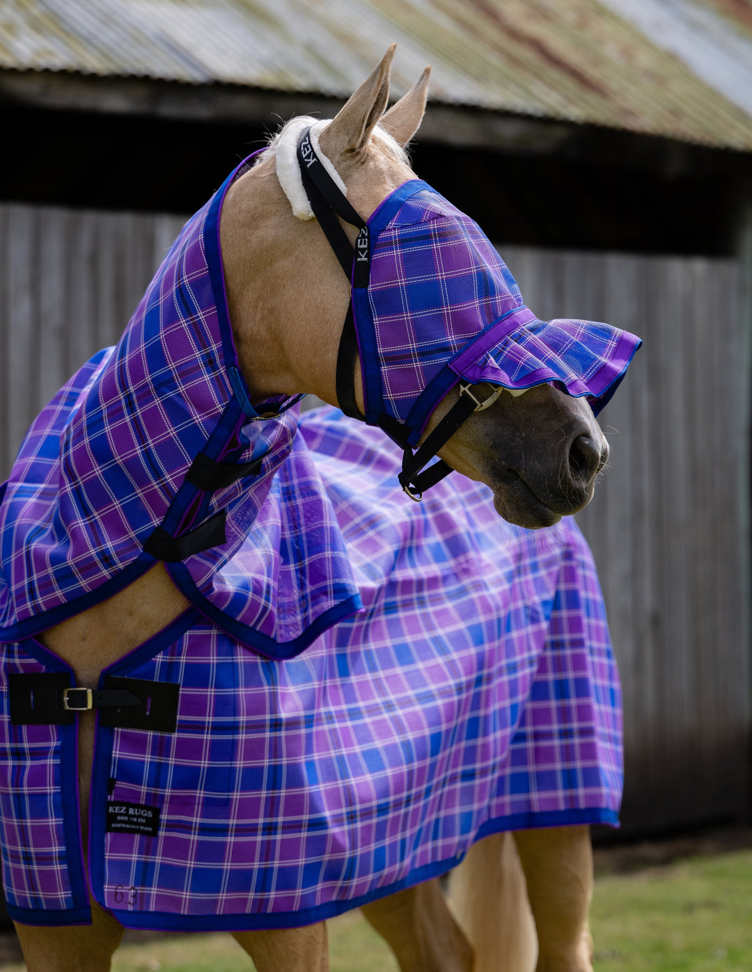 Regal Ultra Mesh Fly Mask with pleated nose attachment and neck combo, alternate side portrait