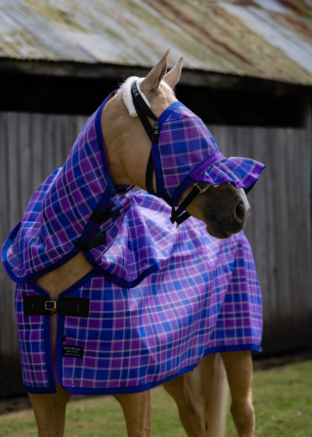 Regal Ultra Mesh Fly Mask with pleated nose attachment and neck combo, wider side portrait