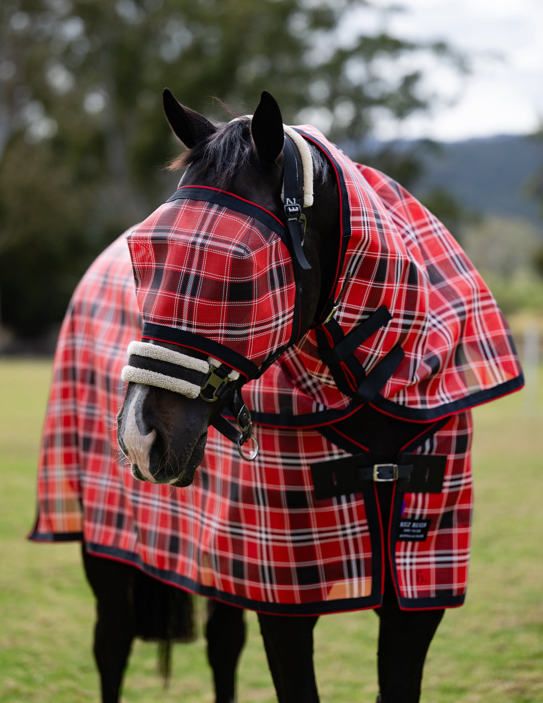 Scarlet Ultra Mesh Fly Mask without nose attachment, main three-quarter portrait