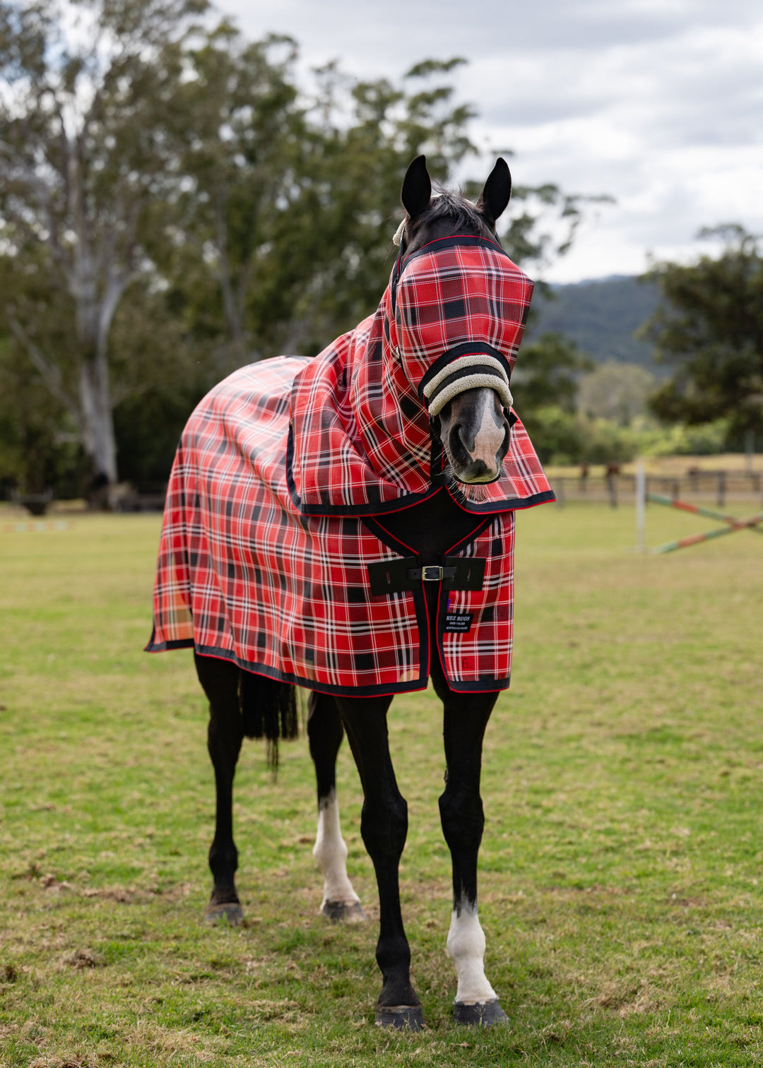 Scarlet Ultra Mesh Fly Mask without nose attachment and matching neck combo, full front portrait