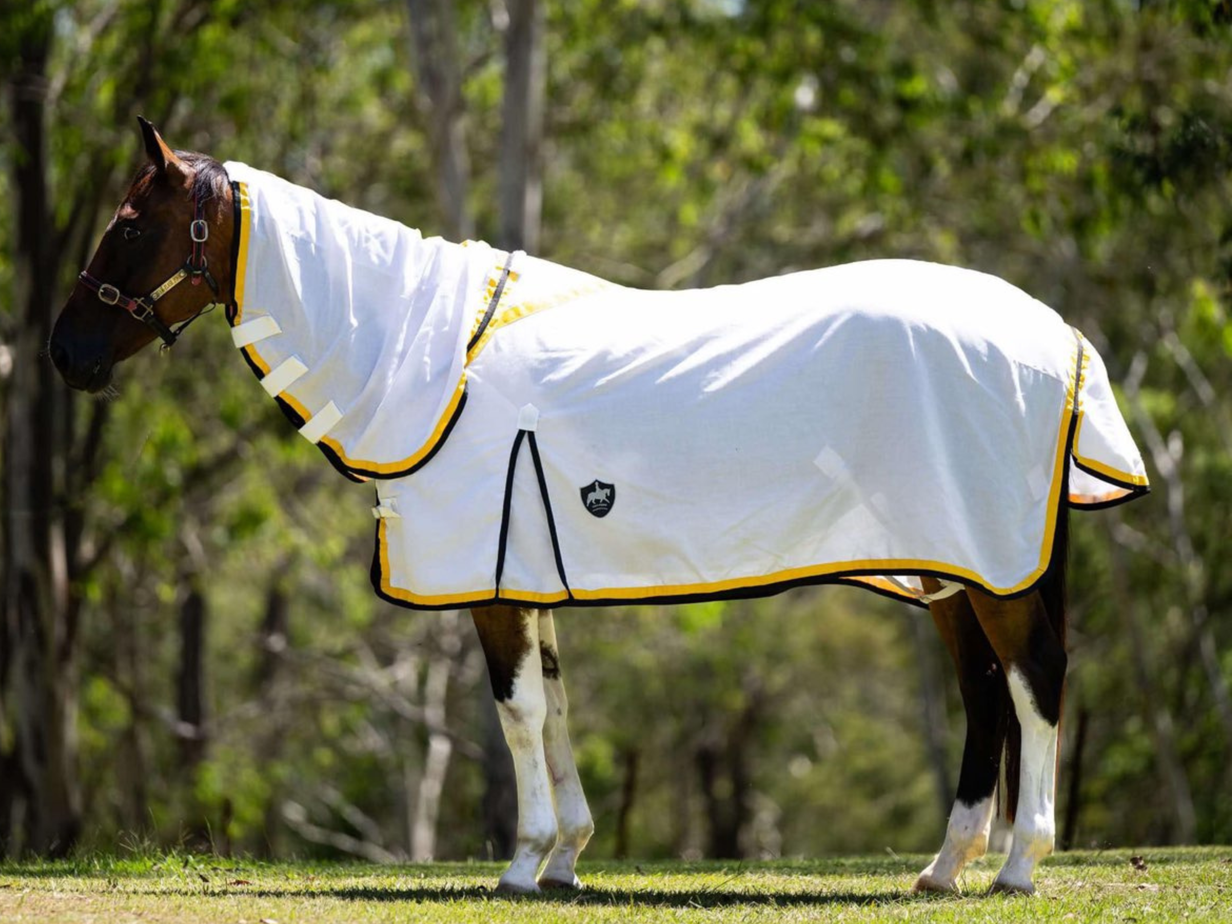 Flag Neck Combo - Black and Yellow