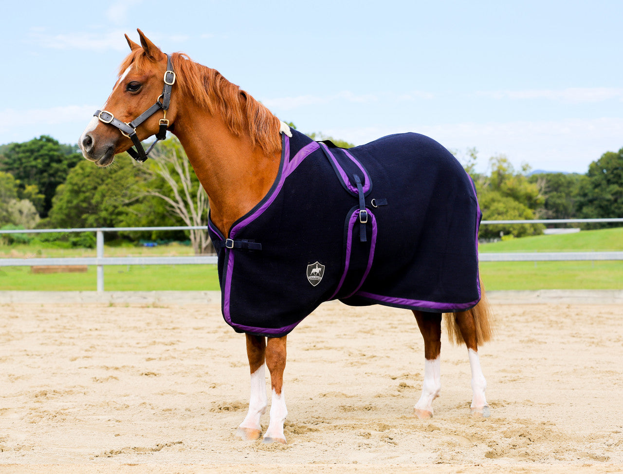 Navy Kersey Wool Rug with Purple & Navy Trims