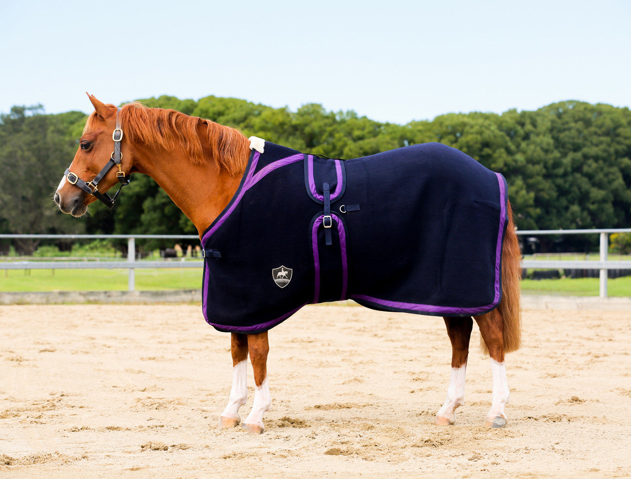 Navy Kersey Wool Rug with Purple & Navy Trims