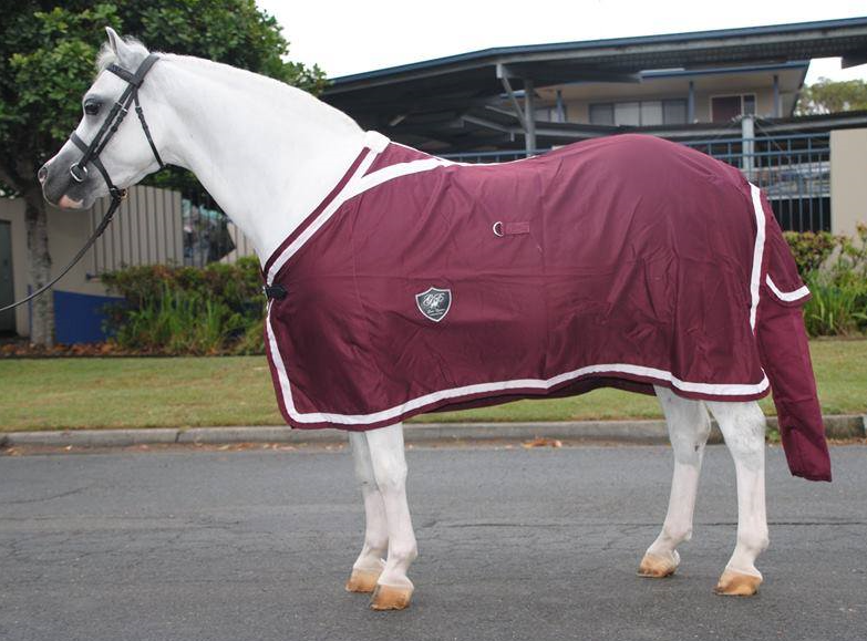 Maroon Show Rug with White Trim 6'9 ONLY - LAST ONE