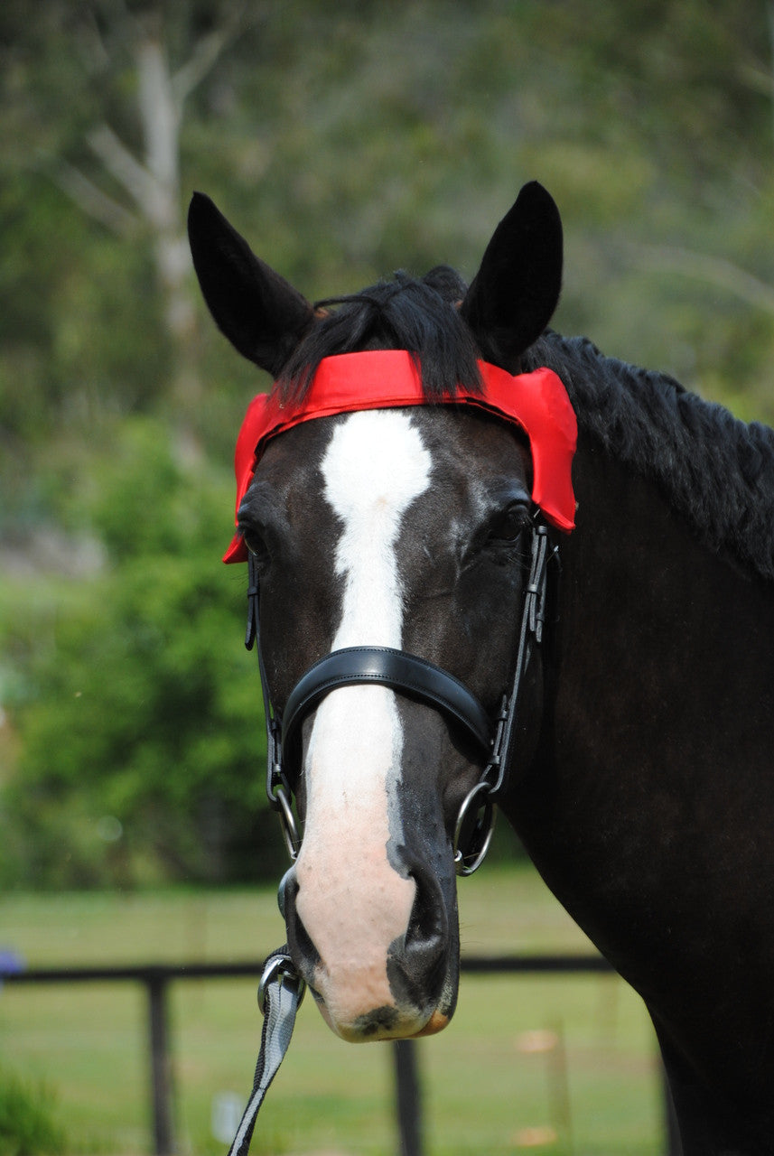 Lycra Browband Cover Red