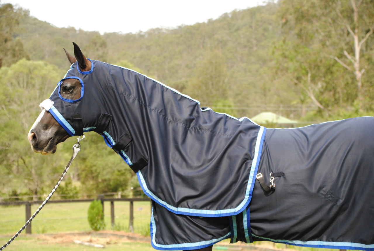 Surcingle Set Navy Show Set + Surcingle with Sky & Royal Blue Trim – Gala Equine