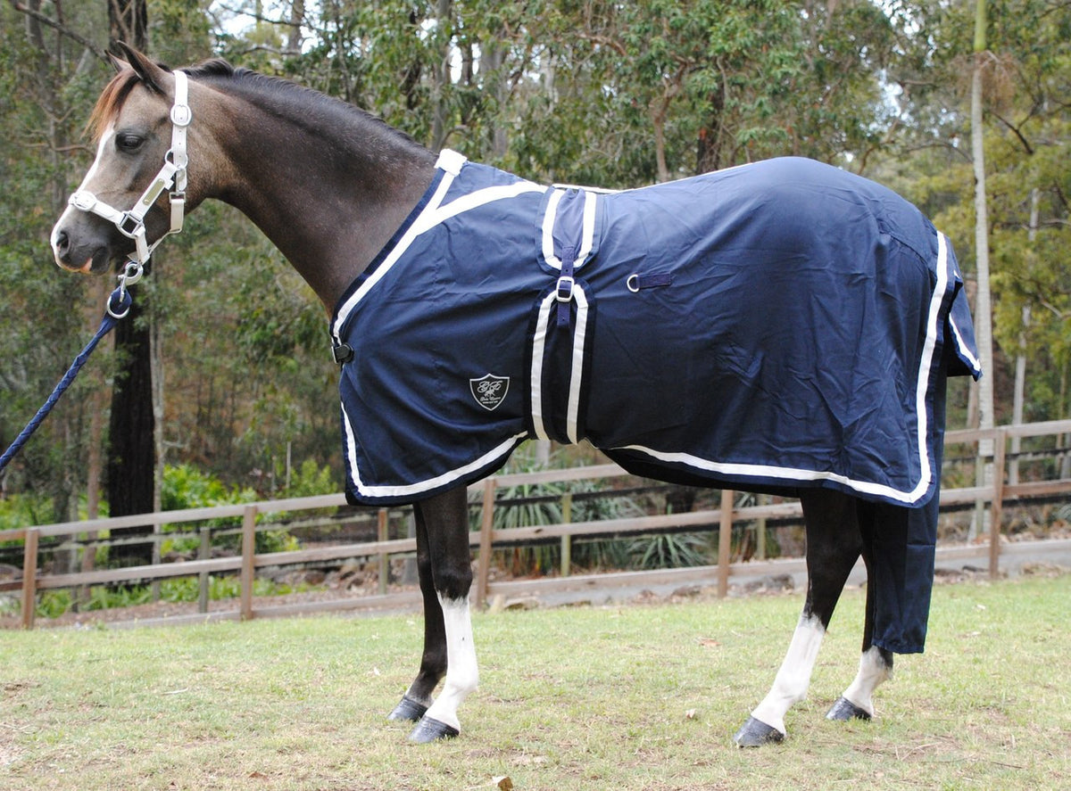Surcingle Set Show Sets - Horse Rugs - Gala Equine