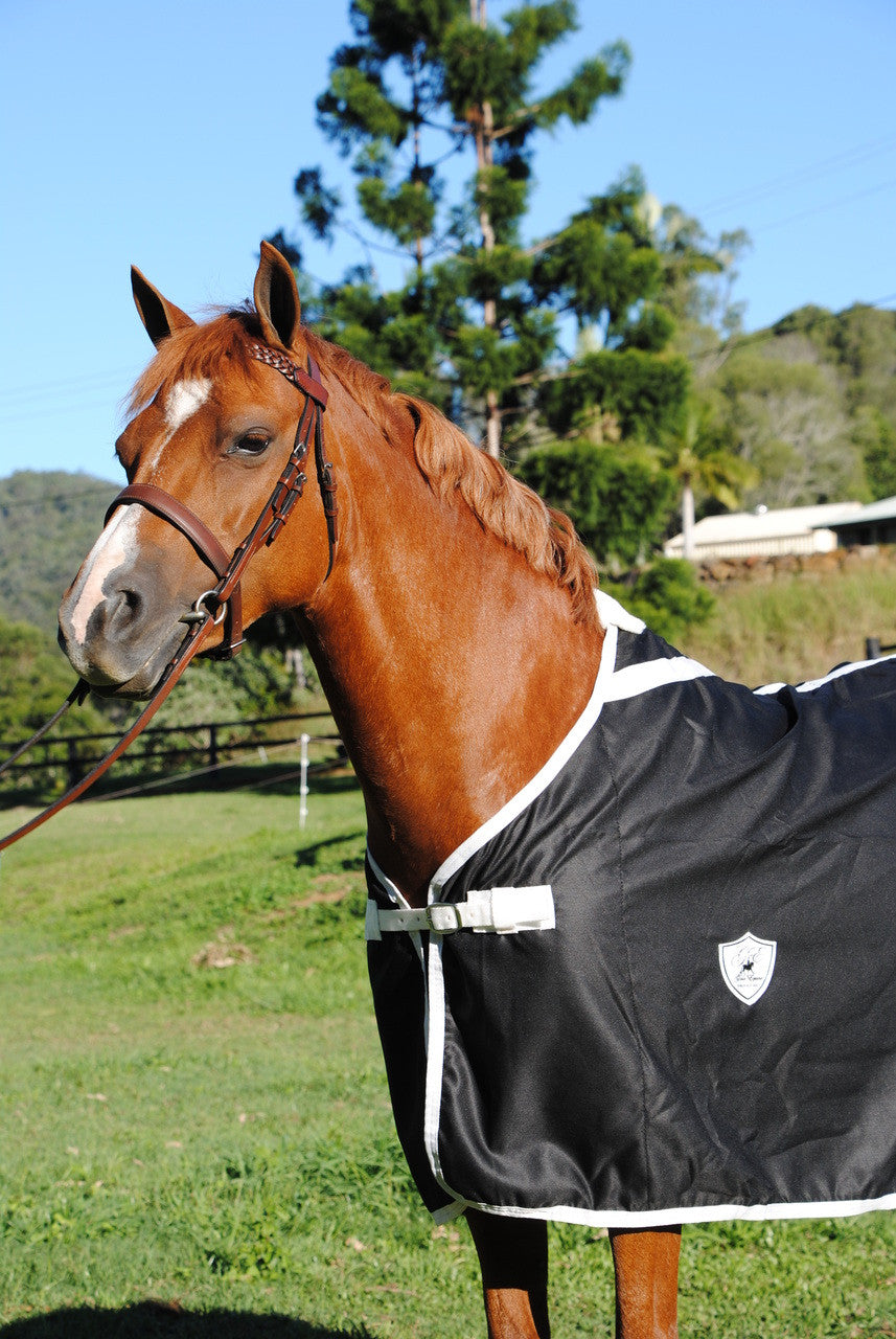 Gala Equine Show Rug Black Cotton with White 