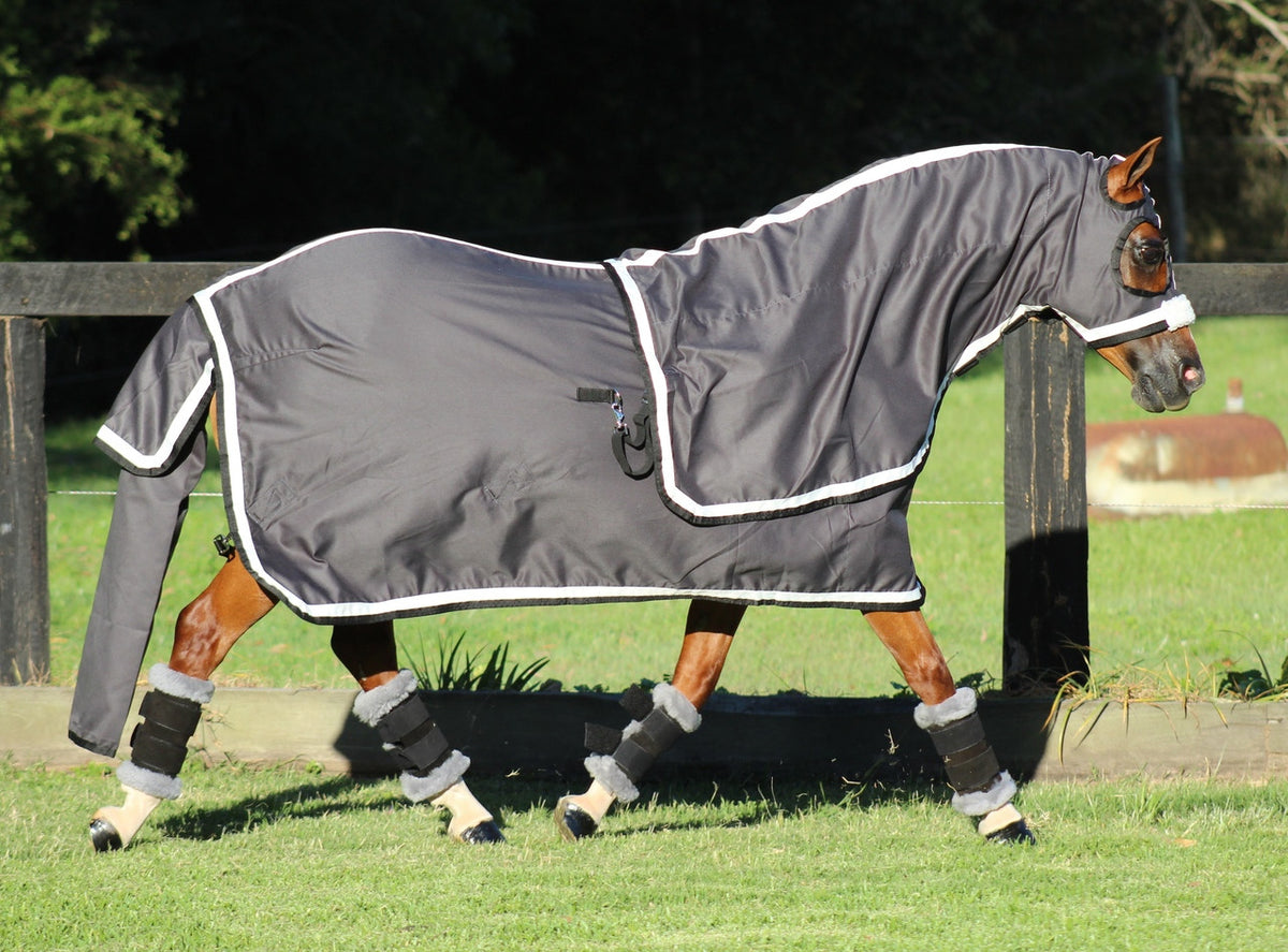 Surcingle Set Show Sets - Horse Rugs - Gala Equine