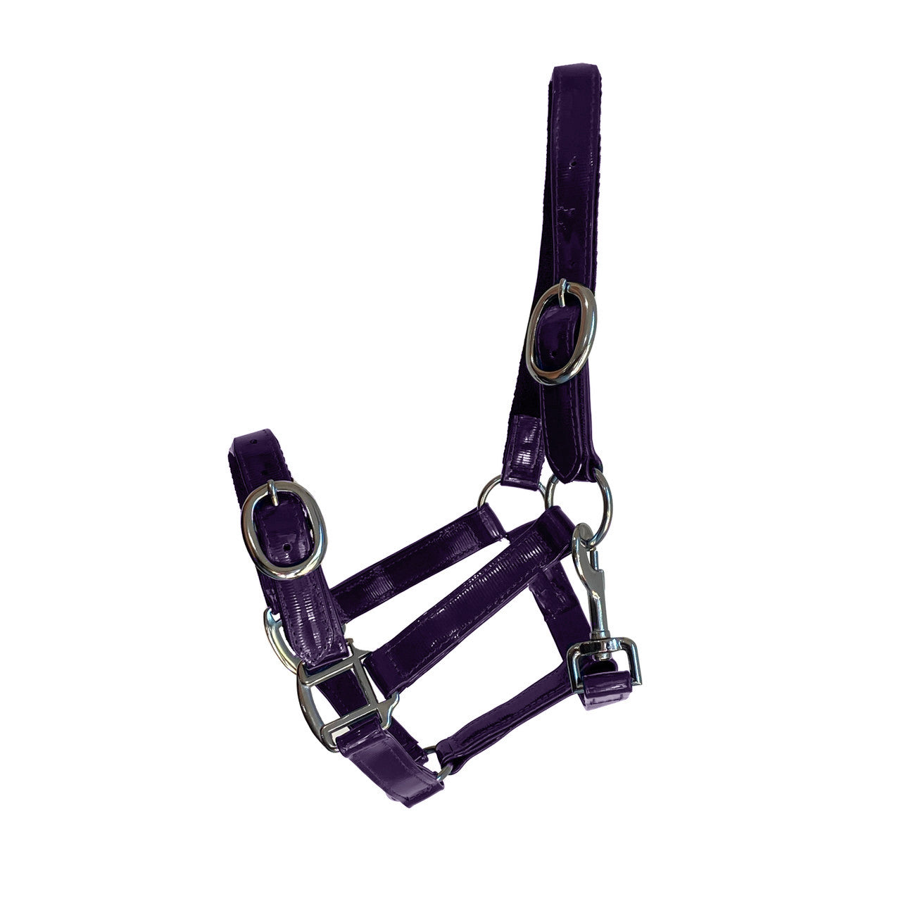 PVC Halter - Dark Purple with Chrome Buckles