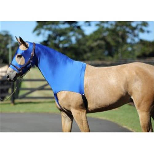 Horsemaster Lycra Hood with Zip - BLUE