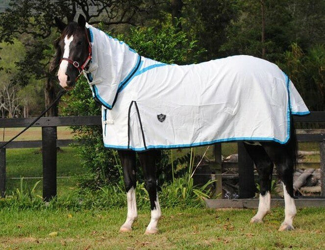 Please note photo has metal clips, these are Velcro on this rug for sale not metal clips. Photo for reference only 