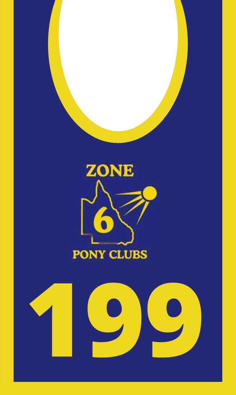 Zone 6 Mock up with BLue and Gold