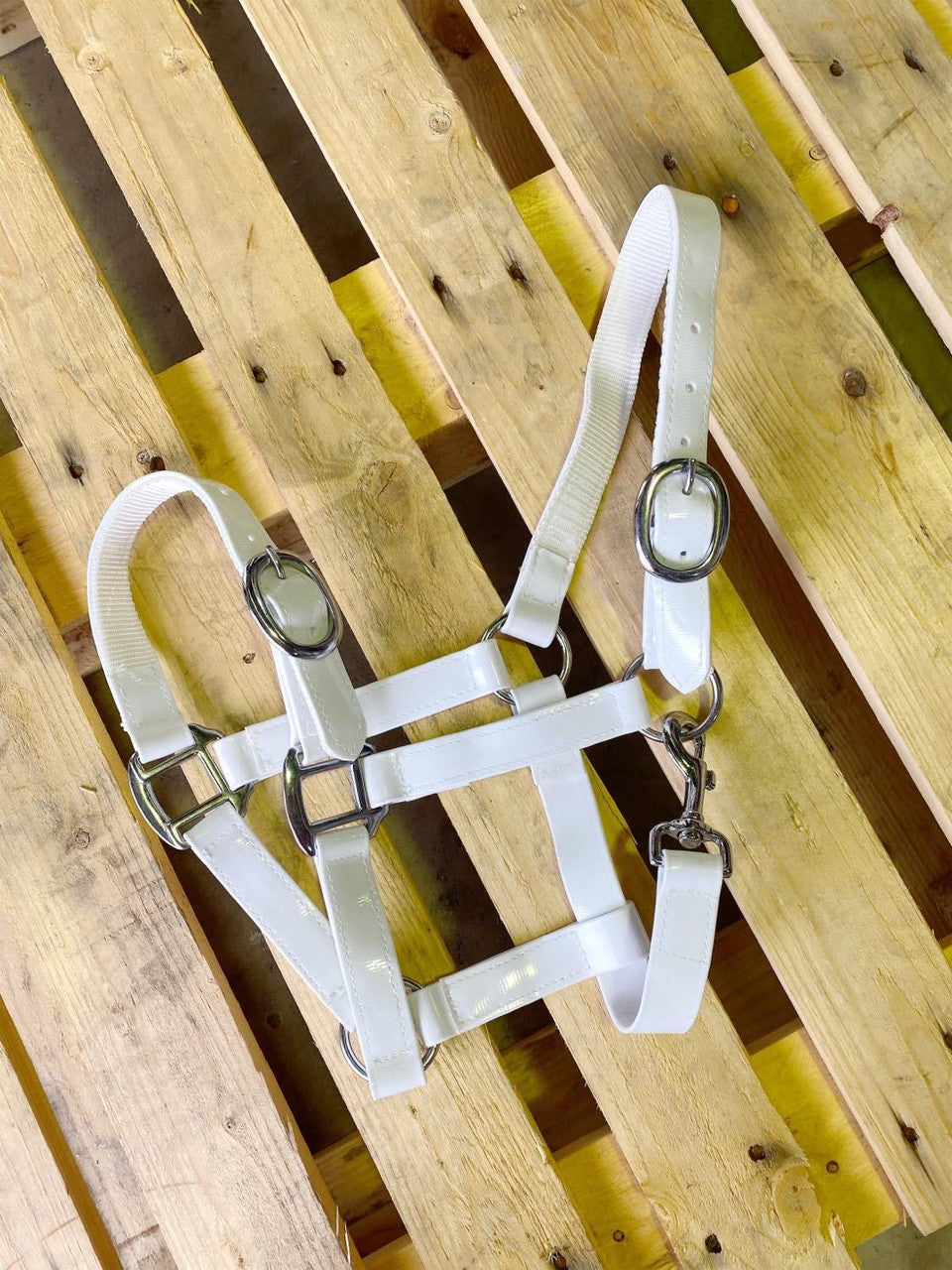 PVC Halter - White with Brass Buckles