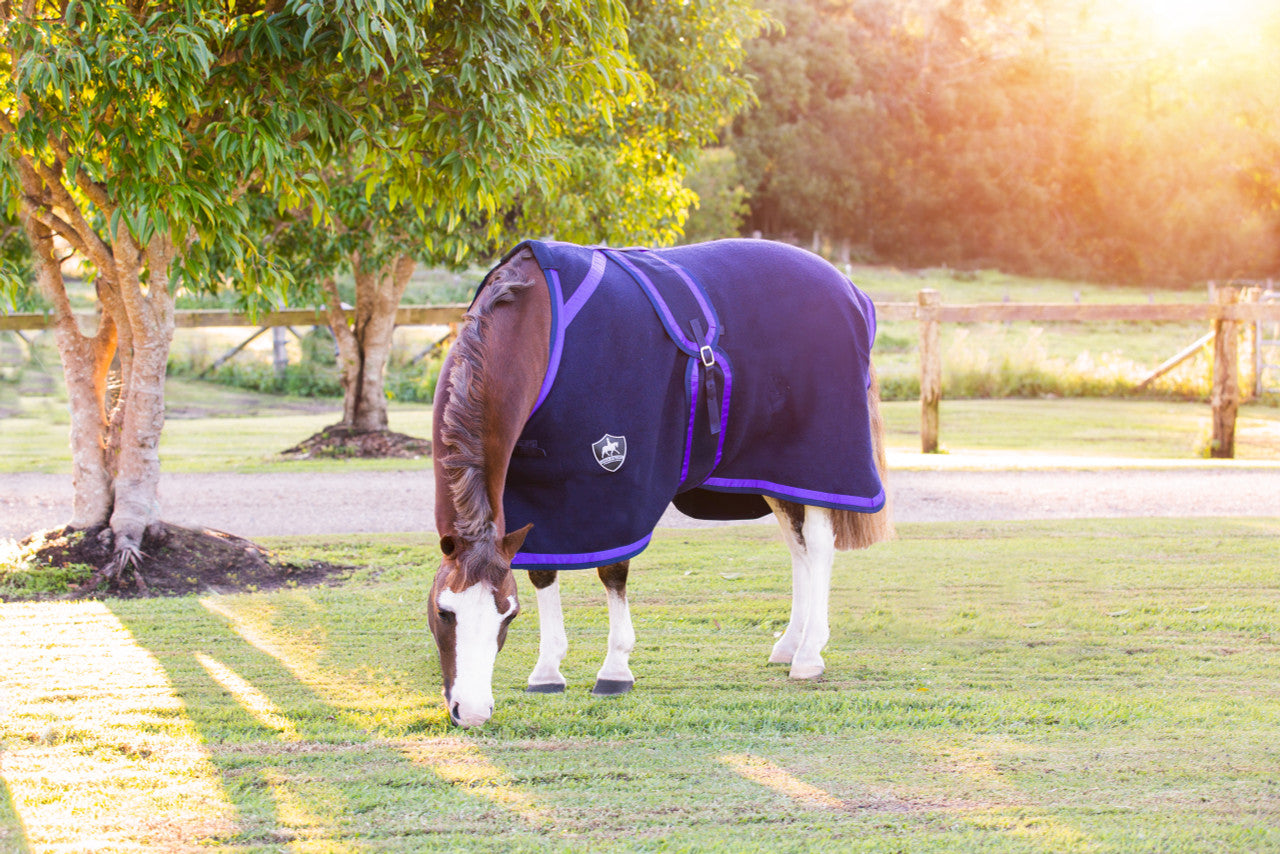 Navy Kersey Wool Rug with Purple & Navy Trims